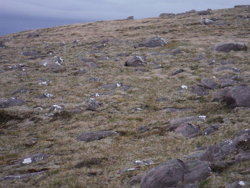Spot the Ptarmigan (just up from the middle of the pic) Day 6 Walk 20/05/23: Beinn an Eoin