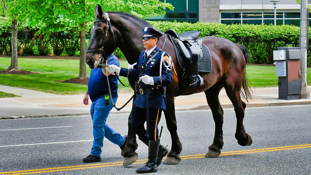 Cleveland Police Riderless Horse - Ohio