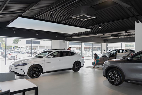 Primeiros showrooms da BYD em Portugal já abriram portas