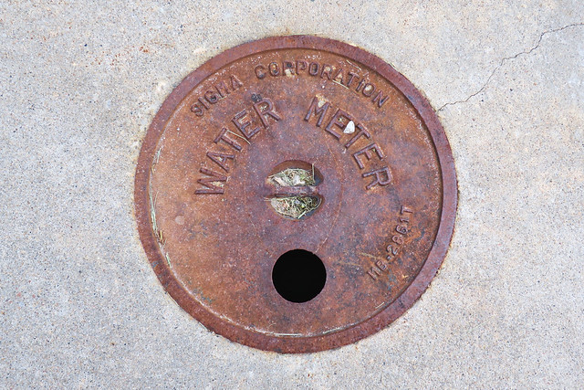 Water Meter Cover, California, MO