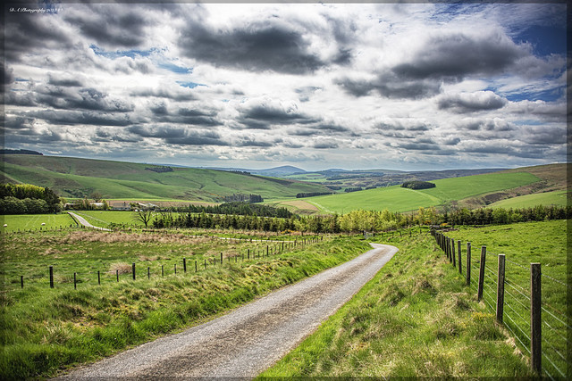 Scottish-Border's Landscape DSC_6266