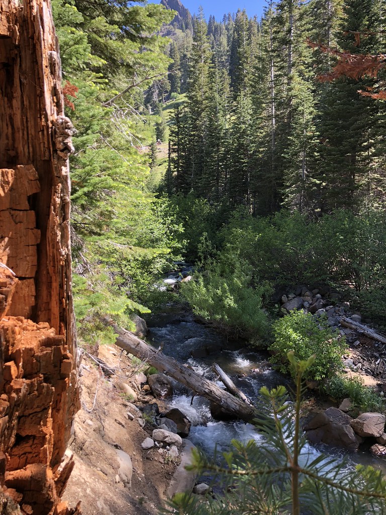 Mill Creek Falls Trail