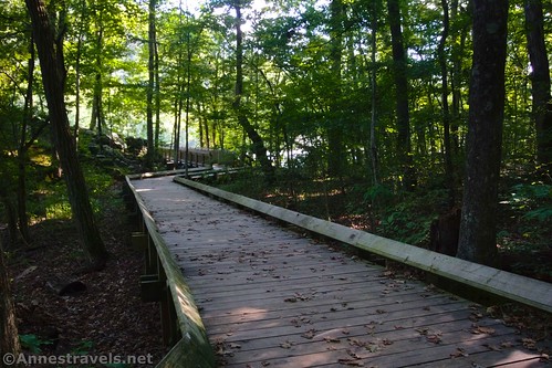 The boardwalk heading for the Upper Sandstone Falls Viewpoint, New River Gorge National Park, West Virginia