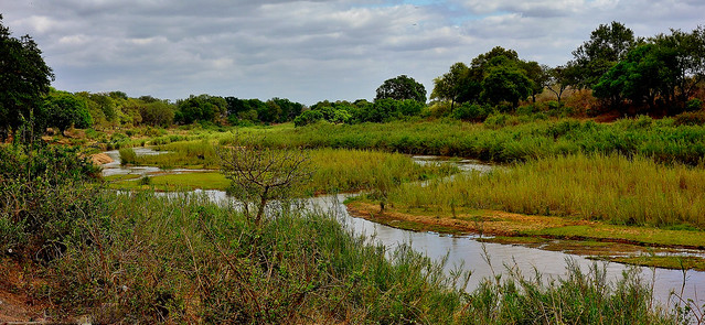SÜDAFRIKA( South-Africa), Im Kruger-Nationalpark, View-point am Fluss, 22105