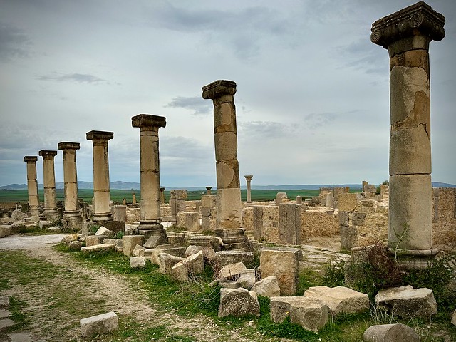 Columns in Volubilis