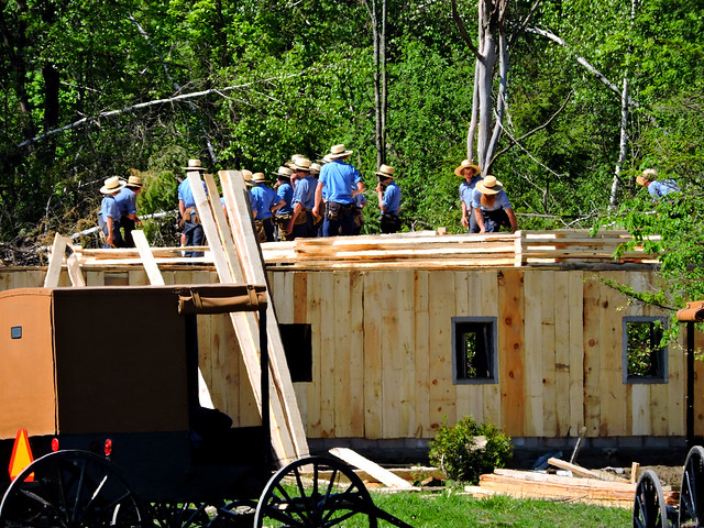 Amish barn-raising