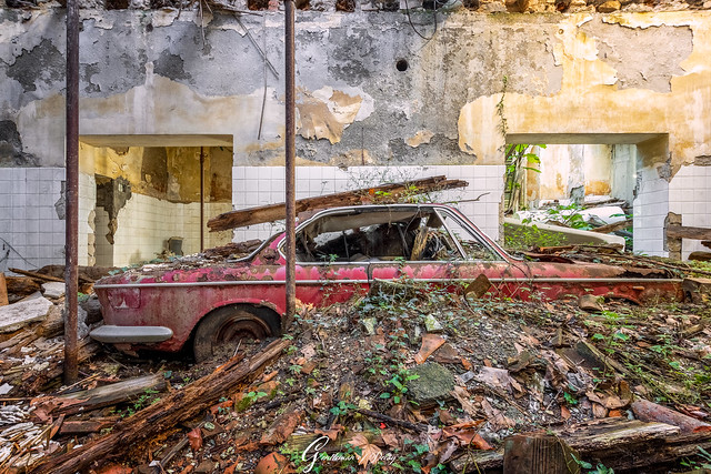 The Decay Car