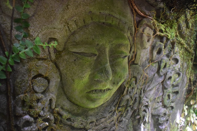 Buddha at Marie Selby Botanical Gardens