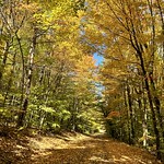 Finger Lakes National Forest - Oct 2022 