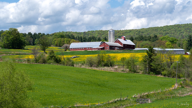 Tinker Farm, Fletcher, Vermont