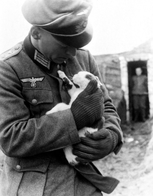 A German soldier embraces a hungry stray cat in Russia during WW2