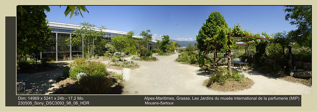 Alpes-Maritimes, Grasse,Mouans-Sartoux, Les Jardins du musée international de la parfumerie (MIP)