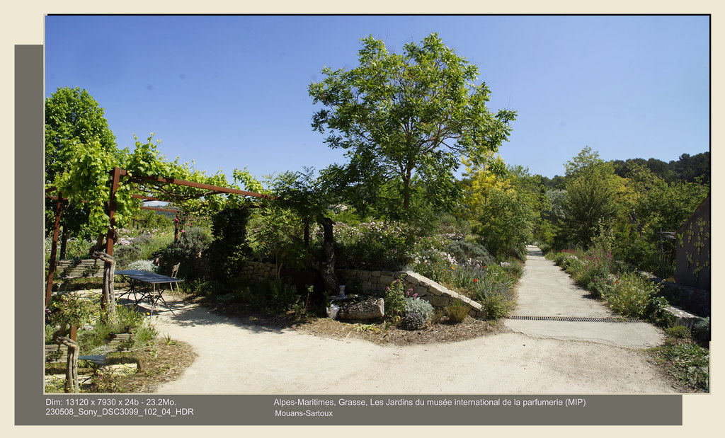 Alpes-Maritimes, Grasse, Mouans-Sartoux, Les Jardins du musée international de la parfumerie (MIP)