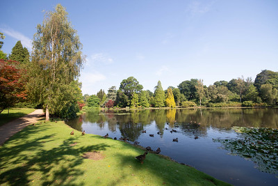 Sheffield Park Gardens Middle Lake