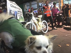The White Bike outside VicRoads Critical Mass (climate edition) May 2023 Melbourne
