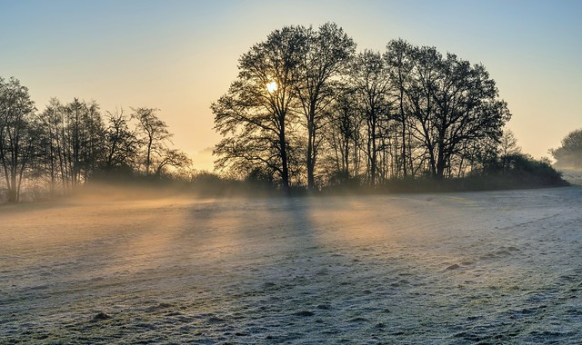 *sunrise over the meadows in the valley of the morning mist*
