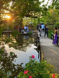 Sunset in Ashikaga park