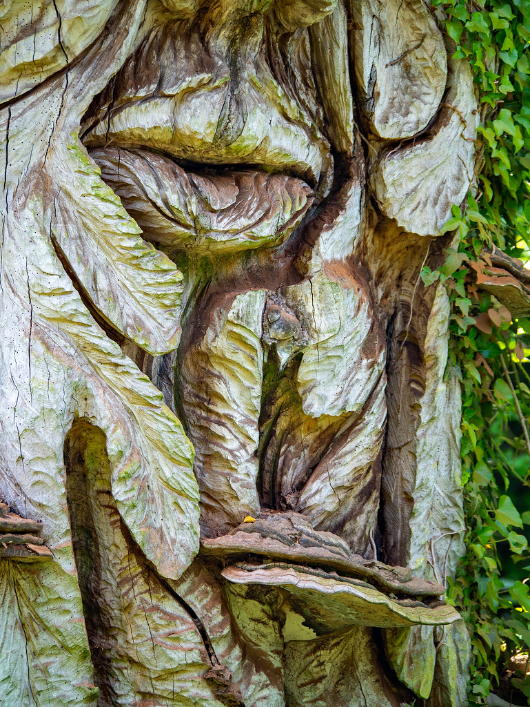 Face In The Tree