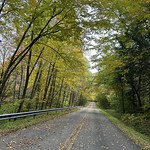 Longhouse Forest National Forest Scenic Byway Oct-2022 