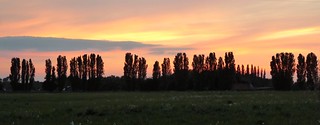 Shropham Sunset.(2) .    Panasonic DMC-TZ70. P107323.