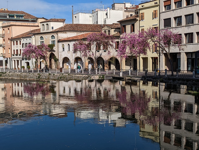 Buranelli Canal with Flowering Trees