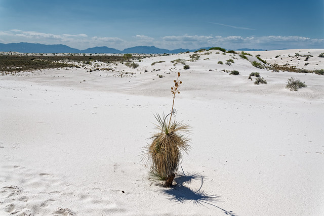 Itineraries in Exploring White Sands National Park