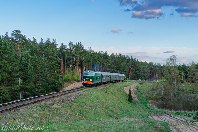 Kurz vor dem Zielbahnhof Koscierzyna dieselt SU45-079 mit einem Sonderzug aus Chojnice bei Szenajda die wenigen Kilometer bis zum abendlichen Feierabend.