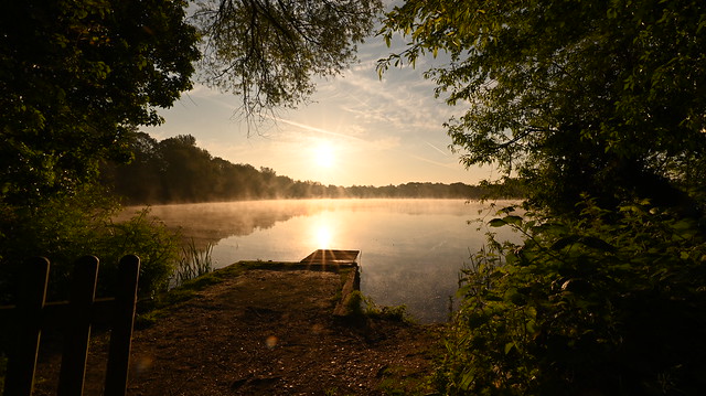Early Morning at Black Swan Lake - Sunday 28th May 2023 at 06:01
