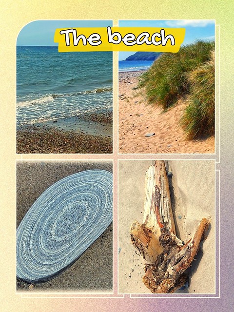 COLLAGE ON THE BEACH