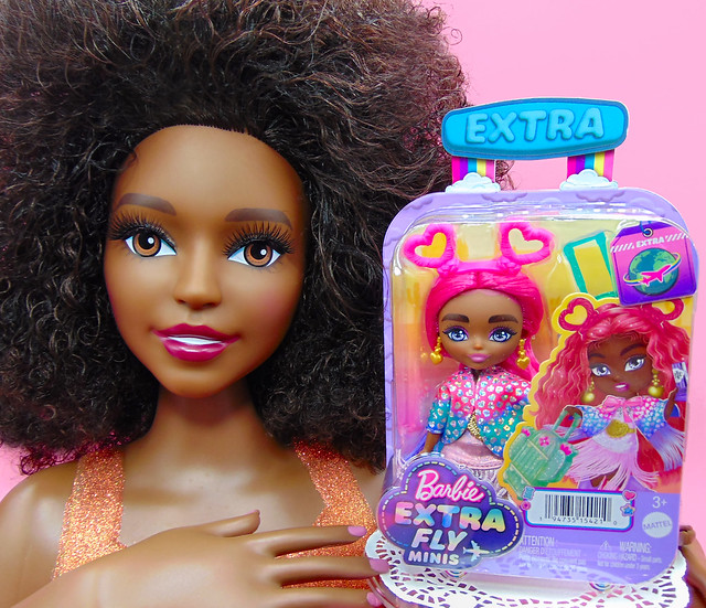 Barbie Extra FLY Minis: 
