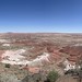 Petrified Forest National Park - May 2023