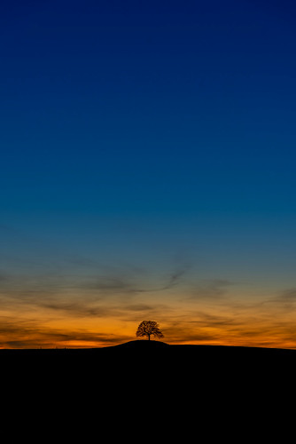 Die Nacht kommt - Night is coming | by Uwe Jungherr
