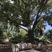 Outdoor Living Room, Selby Gardens, Sarasota, Florida