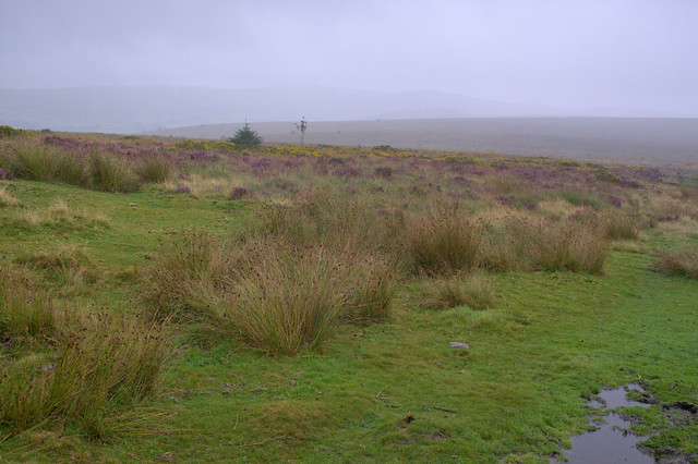 Dartmoor 2014