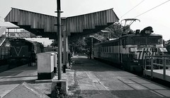 Coal transportation at Tribeni on Eastern Railway, 29th May, 2023