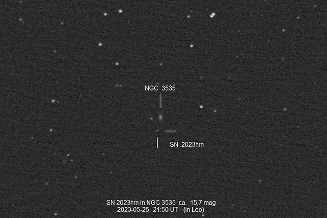 Supernova 2023hrn 2023-05-25 21h50 UT (in NGC 3535)