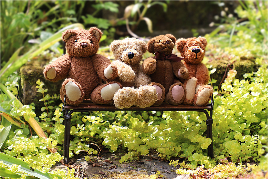 CHATTER BEARS LOVE TO SIT IN THE BRIGHT SUN