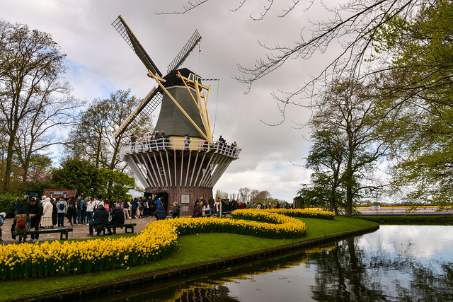 Le grand moulin à vent du parc Keukenhof au Pays-Bas! /Windmill of Keukenhof in Netherlands!