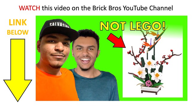 New Video on the Brick Bros YouTube Channel!