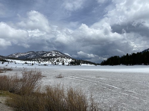 Late May snow near Mt Rose