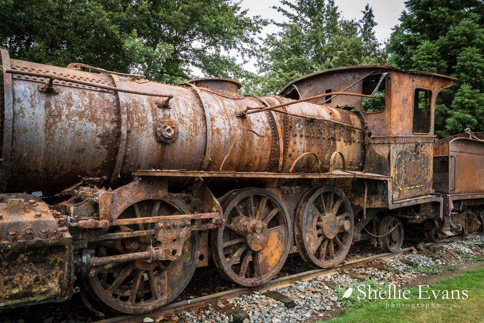 Lumsden Railway Precinct; two 1885 V class steam locomotives (V126 & V127) rady for restoration.