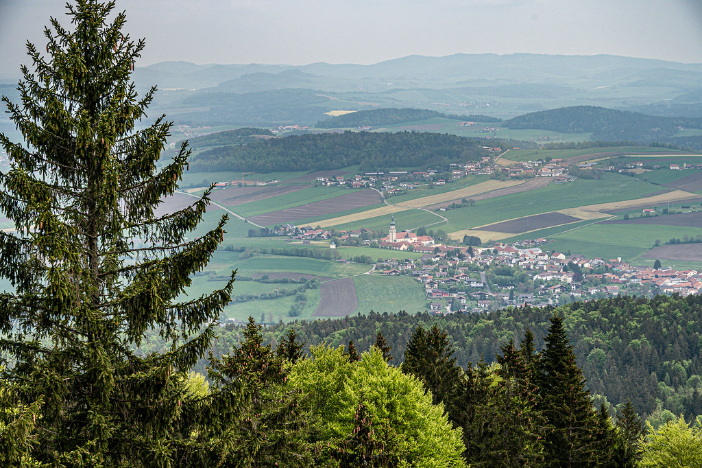 View of Neukirchen beim Heiligen Blut from the Hoher Bogen - 0638