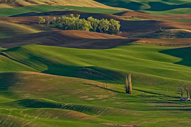 Another view of the Palouse.