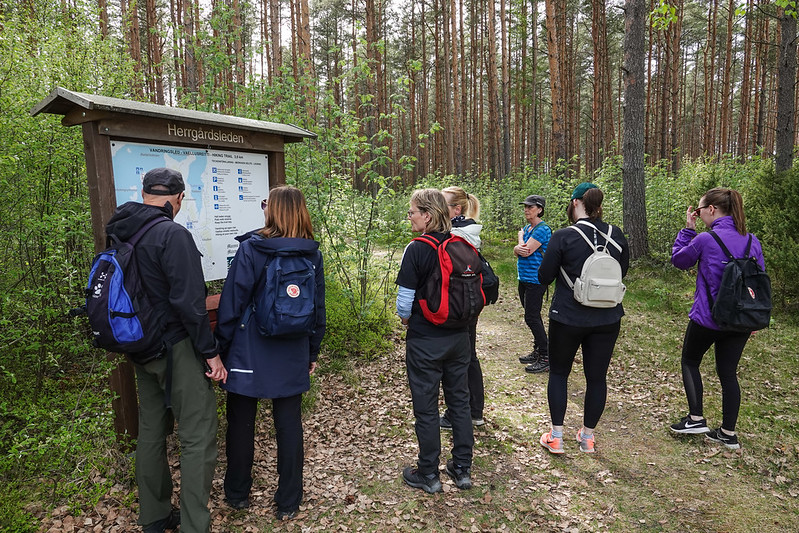 Reviewing the map