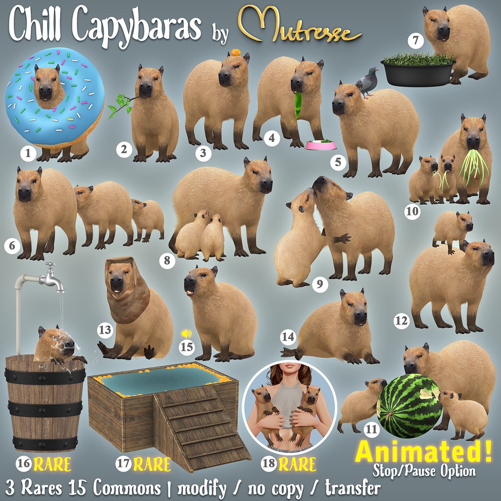 🆕 Mutresse@The Arcade in June 2023 – Chill Capybaras Key