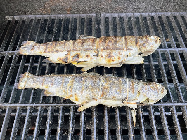 Grilled Fresh Whole Trout for Dinner Tonite