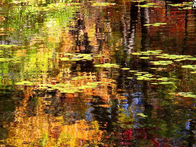 Sterling Lake Autumn Reflection