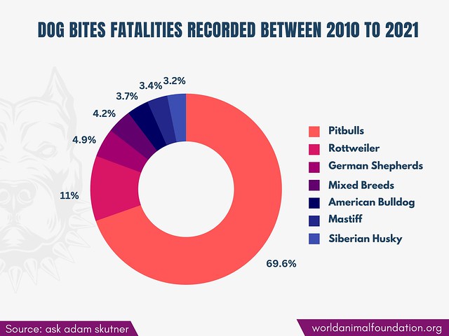 Dog Bites Fatalities Recorded Between 2010 To 2021