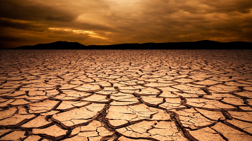 A photo of  of a field of parched, cracked earth at sunset