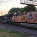 UP westbound into dusk - Rochelle, IL - 052923